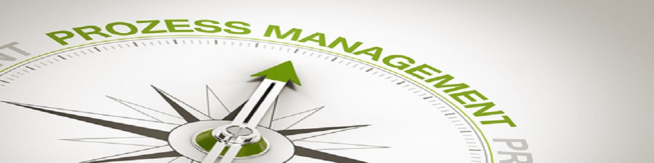 Senior Prozess Manager Modul 3:  EXCELLENCE - Prozesse managen