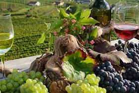 Ausbildung zum Sommelier-Österreich
